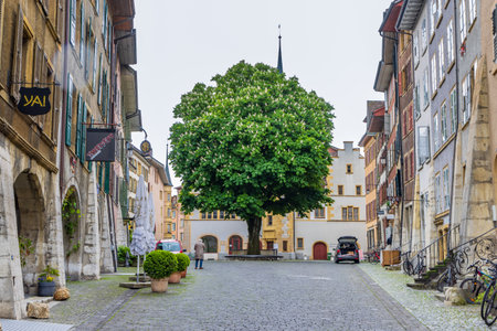 Burgdorf, Switzerland - May 16, 2023: Large Chestnut tree in old city center of village Burgdorf, canton Bern in Switzerland during clouded dayのeditorial素材
