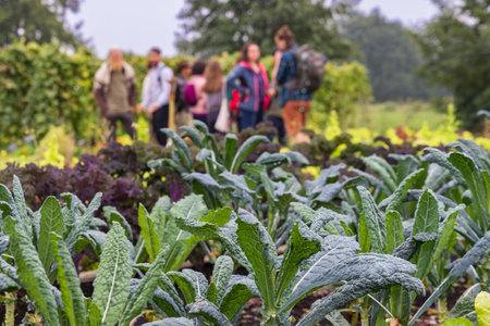 Open day and guided tour in Urban community garden Het Lichtveen in Bennekom Gelderland province in...