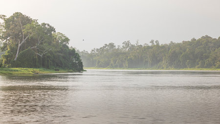 Scenic view of San Juan river also known as El Desaguadero at the border of Costa Rica and Nicaragua