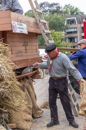 Barneveld, The Netherlands - August 1, 2024: Demonstration of harvest of grain and straw at...