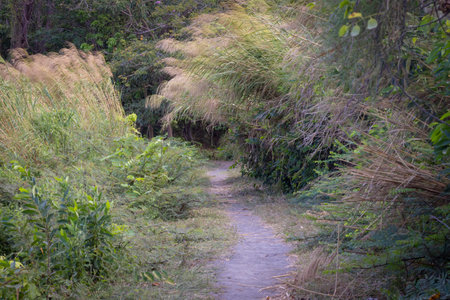Landscape Charco Verde Park and Butterfly avaiary at Ometepe island in Nicaragua. Little nature park...