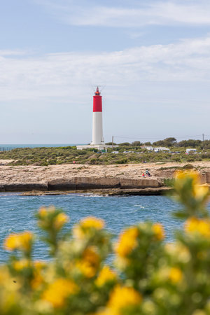 Landscape with wild blooming flowers and Lighthouse Cap Crown at Phare de Cap Couronne in Martigues in Alpes-Cote dAzur region in Franceの写真素材