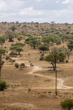 Scenic bird view of Tarangire National Park in Tanzania East Africaの写真素材