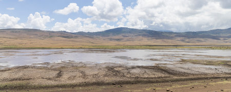 Scenic view of grassland with lots of animals and birds surrounded by mountains in Serengeti Tanzania East Africaの写真素材