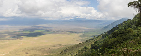 Panoramic view of Ngorongoro Crater in Tanzania East Africaの写真素材