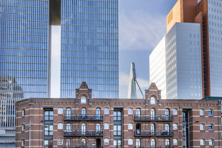 Cityscape of Rotterdam with large modern apartment buildings and Erasmus bridge in background, Kop van Zuid in Rotterdam port city in South-Holland the west of the Netherlandsの写真素材