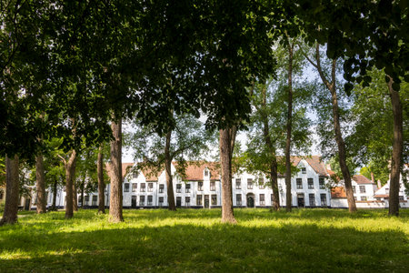 Beguinage (Begijnhof) with green tree park surrounded by terraced white houses in Brugge in Flanders Belgiumの写真素材