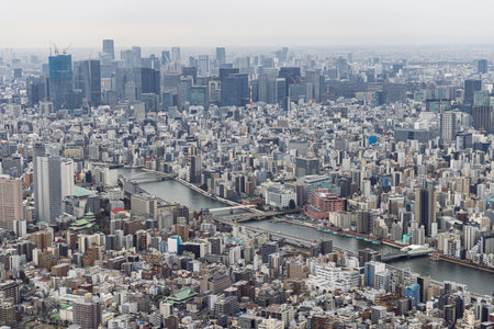 Birdview of Tokyo in Japan from the The Sakura Skytree tower. One of Worlds tallest towers of 634...