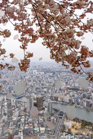 Birdview of Tokyo in Japan from the The Sakura Skytree tower. One of Worlds tallest towers of 634 meters.の写真素材