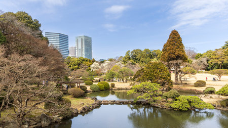 Landscape of Shinjuku Gyoen National Botanical Garden in Tokyo Japanの写真素材