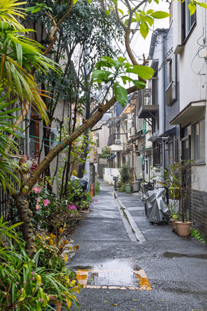 Little facade garden in little street in suburb area of Tokyo in Japanの写真素材