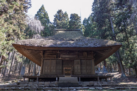 Buddhist Jokoji Temple between large pine trees in Obuse in Nagano region in Japanの写真素材