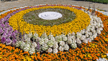 Scenic view of colorful pansy flower circle during spring in Glover garden, Minamiyamate hillside in Nagasaki in Japanの写真素材
