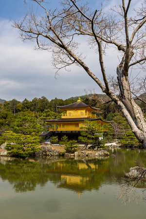Scenic view of Kinkakuji Temple (The Golden Pavilion) reflected in pond in Kyoto, Japanの写真素材