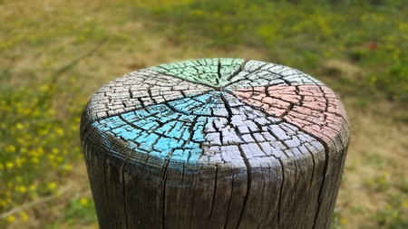 tree stump colorful painted outdoor decorativeの写真素材