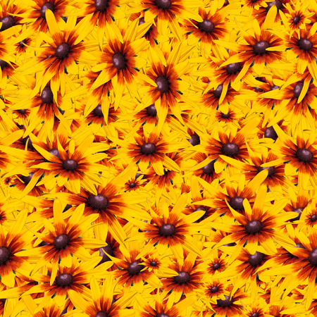 The yellow flower abstract seamless patterns  for a background.の写真素材
