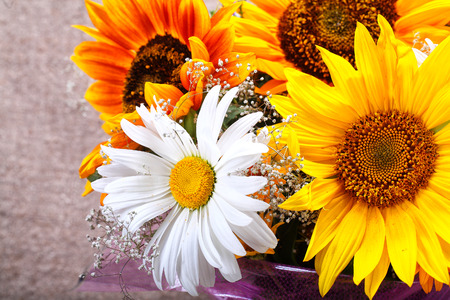 Bouquet from yellow sunflowers and white daisies close upの写真素材