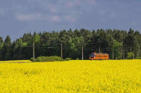 TRAIN, FIELD OF RAPE AND FOREST. Spring landscape with passenger train on the background of green forestの写真素材