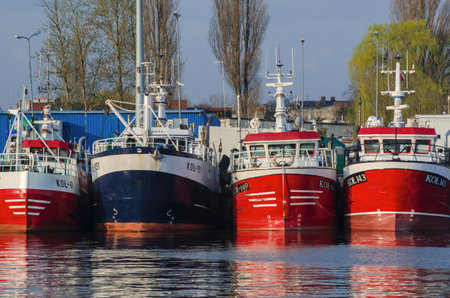 KOLOBRZEG, WEST POMERANIAN / POLAND: Fishing boats moored in the harbor to the wharf after returning...