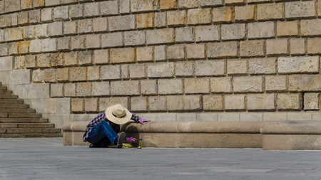 CONSERVATOR - Maintenance work on the historic wallsの写真素材