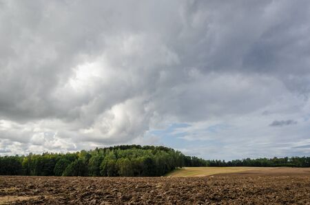 LANDSCAPE - cloudy sky over fields and forestsの写真素材