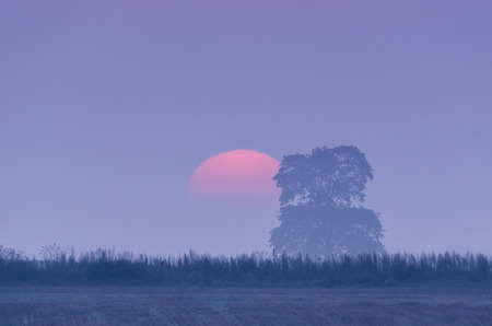 SUNRISE - The sun and mist in morningの写真素材