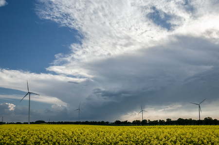 CLOUDS IN THE SKY - Stormy weather over rape fieldsの写真素材
