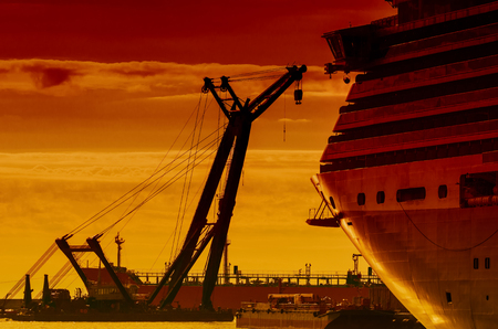 SEA CRANE AND CRUISE SHIP - A floating floating bridge, a mantis and moored passenger shipの写真素材