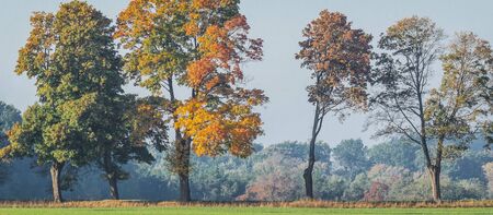 COLORFUL AUTUMN - Sunny and beautiful morning on a country road among fieldsの写真素材