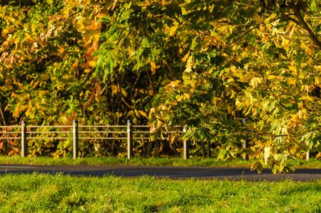 COLORFUL AUTUMN - Sunny and beautiful morning on a local asphalt roadの写真素材