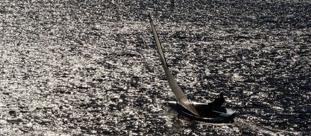 REGATTA IN SUNNY RAYS - Sailboat on the waves of the lakeの写真素材
