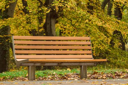 BENCH IN THE PARK - Colorful autumn in the city