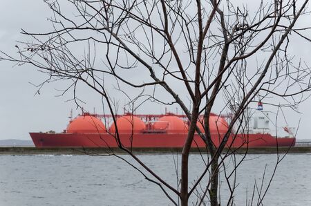 TANKER AND TREE