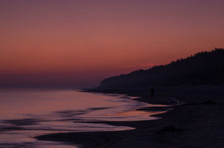 SEA COAST - Dunes and beach in the sunriseの写真素材