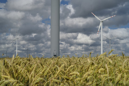 AGRICULTURE AND WIND FARM - Cereals on the farmland before harvestの写真素材