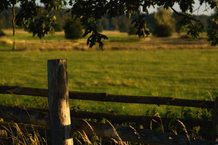 RURAL LANDSCAPE - Old wooden fence in the pastureの写真素材