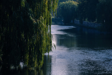 RIVER - Green trees on the banks of flowing waterの写真素材