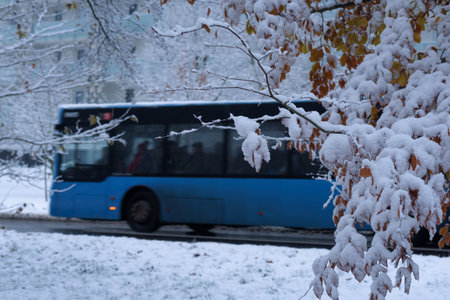 WINTER IN THE CITY - Snow on dry leaves of trees and on the street