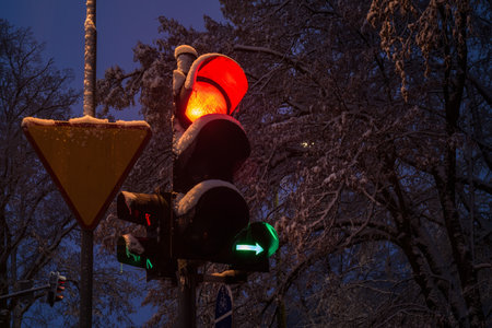 TRAFFIC LIGHT - Signaling for pedestrians and carsの写真素材