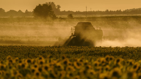 COMBINE HARVESTER - Agricultural machine works in the fieldの写真素材