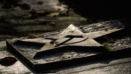 KOLOBRZEG, WEST POMERANIAN - POLAND - 2022: WAR GRAVES - Symbols of the Soviet Union on the...
