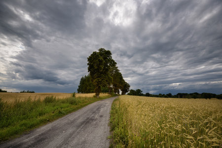 WEATHER - Dramatic black rain clouds over fields and country road