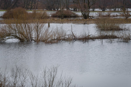 FLOOD - Flooded river valley and meadows after the rainsの写真素材