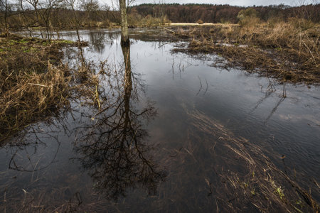 FLOOD - Flooded river valley and meadows after the rains