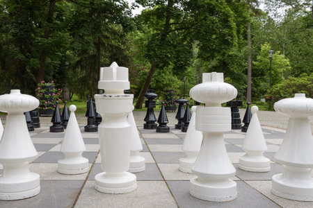 OUTDOOR CHESSBOARD - Figures and pawns on the board in the spa parkの写真素材