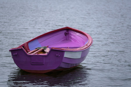 LANDSCAPE BY THE LAKE - Small pink rowing boat on the lake
