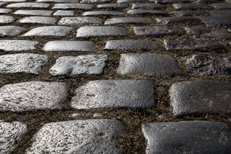 CITY STREET - Beautiful cobblestones on a road surfaceの写真素材