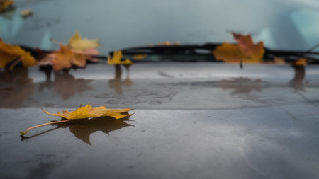 GOLDEN AUTUMN LANDSCAPE - Fallen dry leaves on the vehicleの写真素材