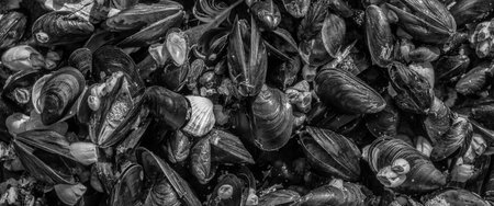 SHELLS - A small seashells on the sand of sea beachの写真素材