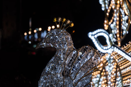 CHRISTMAS DECORATIONS - Peafowl figure with colored lightingの写真素材
